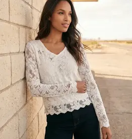Karen Kane Burnout Lace Top Cream