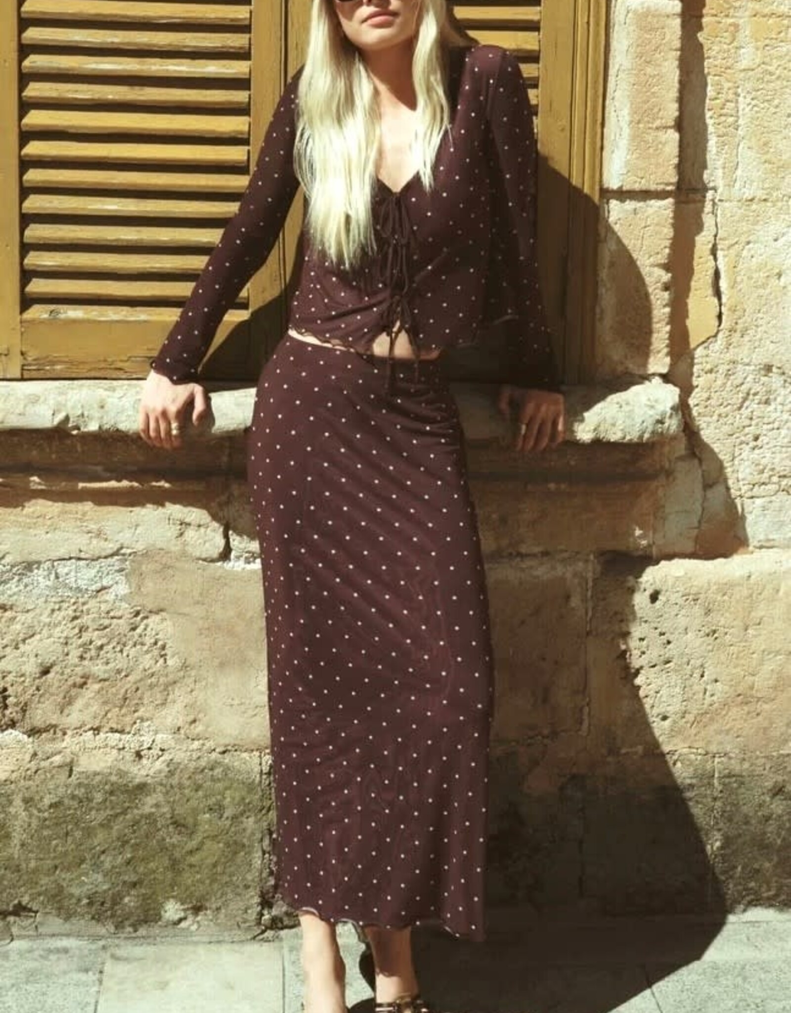 Z Supply  Eda Polka Dot Mesh Skirt Chocolate