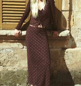 Z Supply Eda Polka Dot Mesh Skirt Chocolate