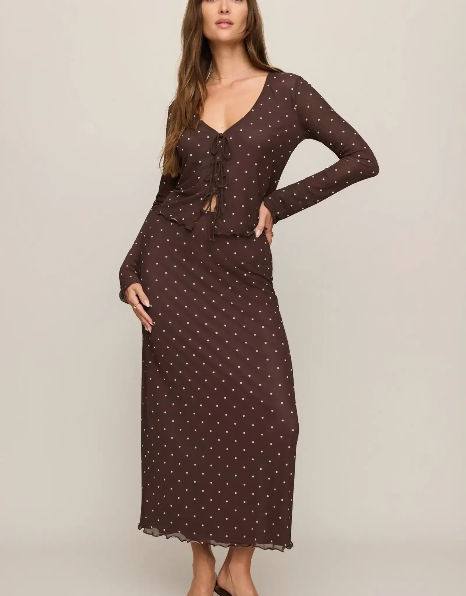 Z Supply  Eda Polka Dot Mesh Skirt Chocolate