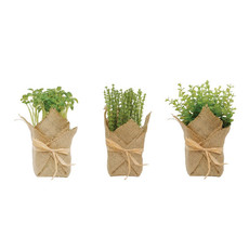 Creative Co-Op Burlap Wrapped Potted Herb