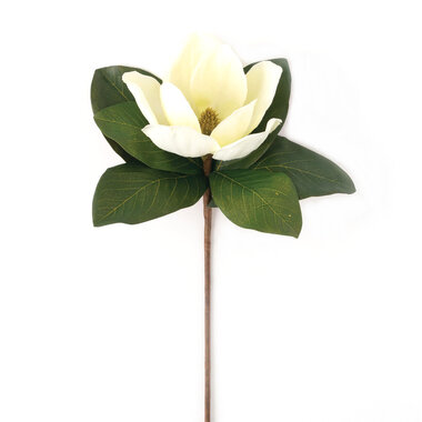 Sullivans Magnolia Stem 13x11x18.5