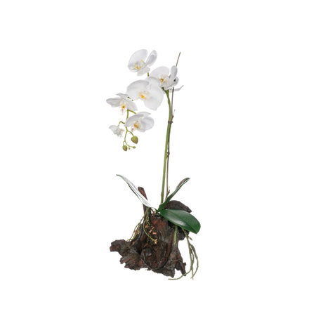 Sullivans 18''WhiteOrchid with bark     12838CD