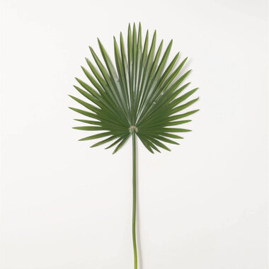 Sullivans PALMETTO LEAF      02409S