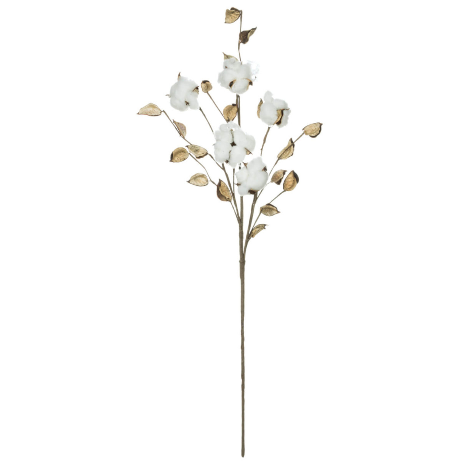 Sullivans 28'' Cotton Stem loading=