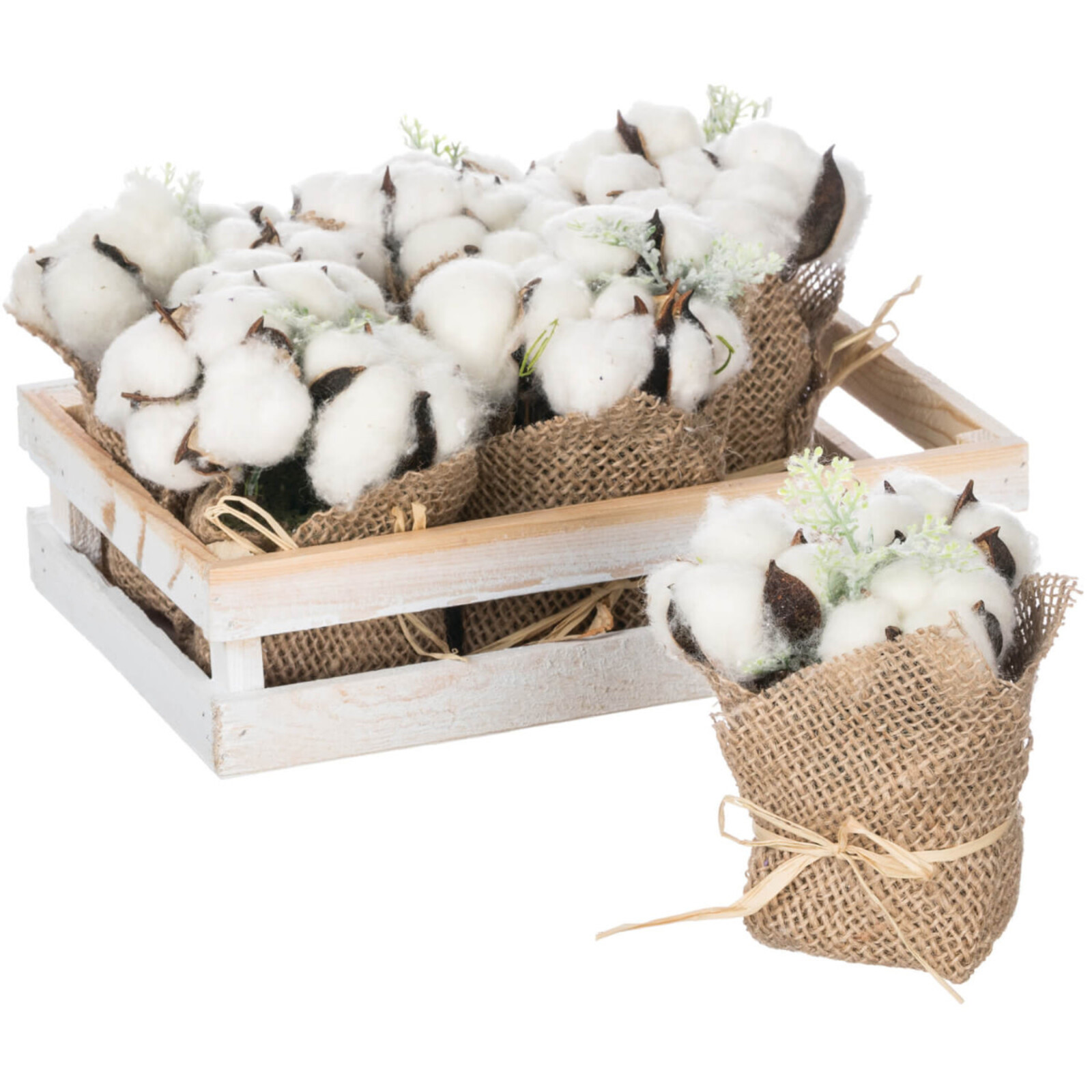 Sullivans Cotton Potted Plant     12904CD loading=