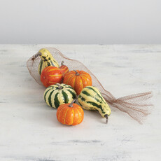 Sullivans Pumpkin Bag of 6      DV517
