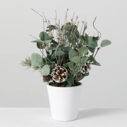 Sullivans EUCALYPTUS PINE CONE ARRANGEMENT     ECARR