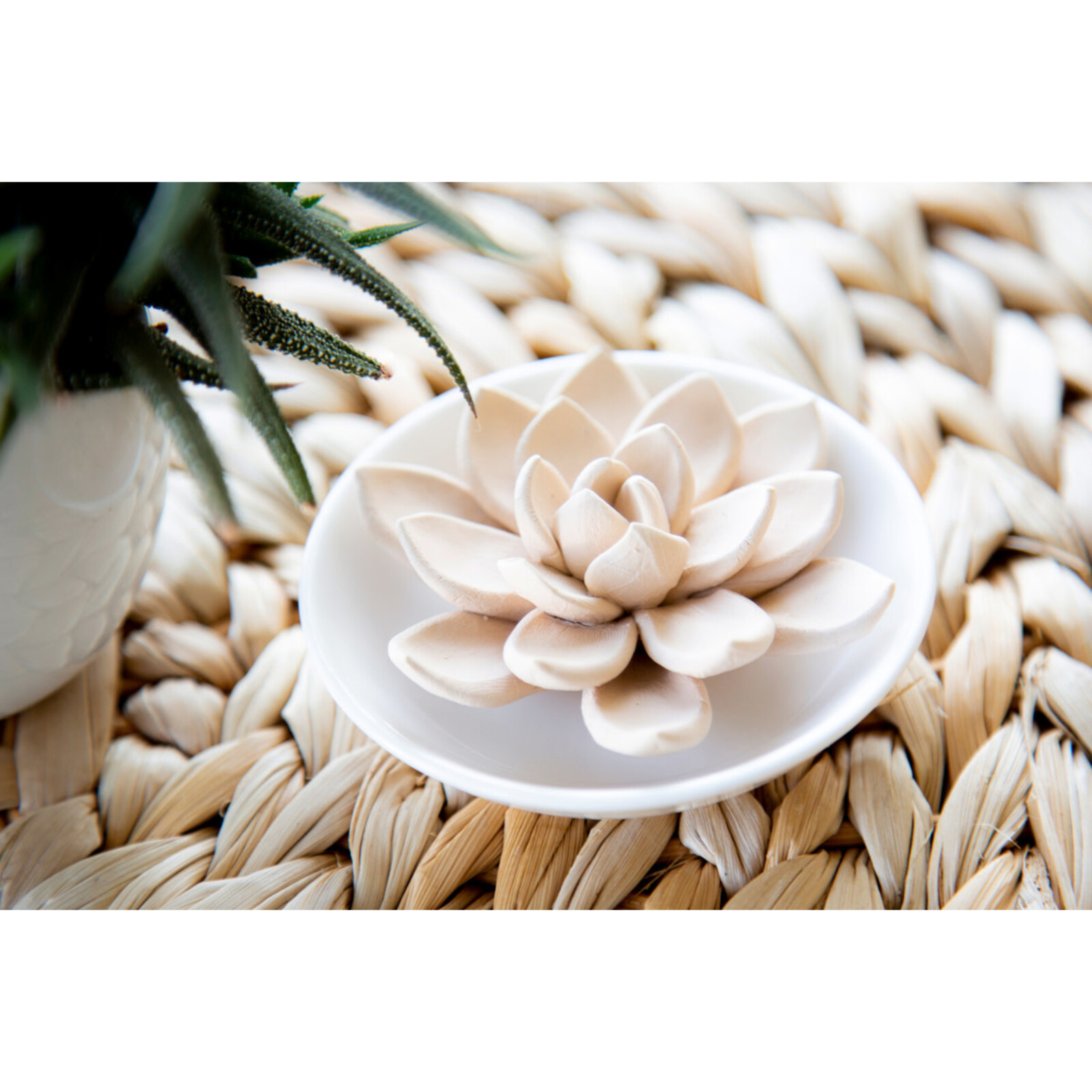 Evergreen Enterprises Ceramic Succulent Trinket Dish Diffuser 7DF027 loading=