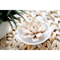 Evergreen Enterprises Ceramic Succulent Trinket Dish Diffuser 7DF027