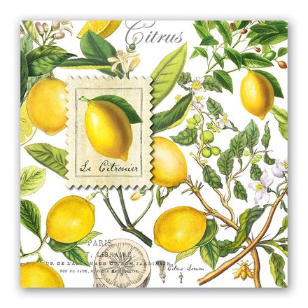 Michel Design Works Lemon Basil Luncheon Napkins   NAPL8 (817008)