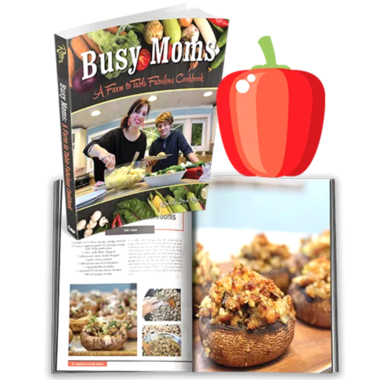 Great American Publishers Busy Moms Cookbook