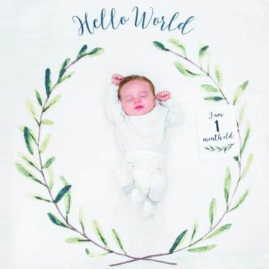 Mary Meyer Lulujo Baby's First Year "Hello World"  LJ592