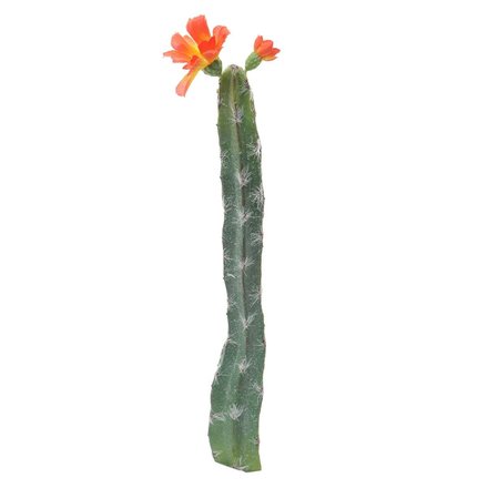 Meravic Cactus 2.75X14 wflower