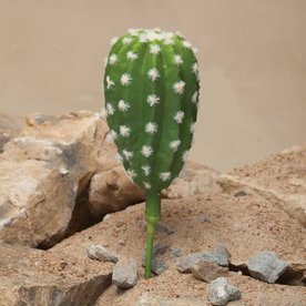 Meravic Cactus 2.75X9'' wflower