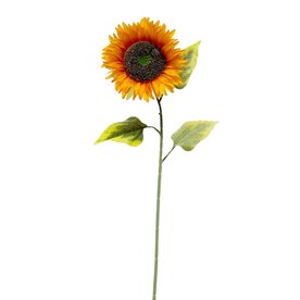 Meravic Sunflower7.5X29