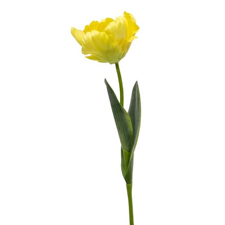 Meravic RUFFLE TULIP 4"X22" Yellow    M9750YE