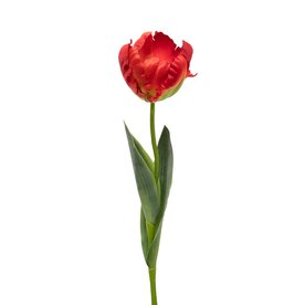 Meravic RUFFLE TULIP 4"X22"Red   M9750RE