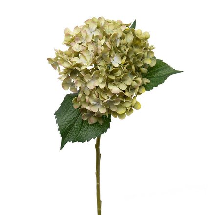 Meravic Hydrangea Green   M9725GR