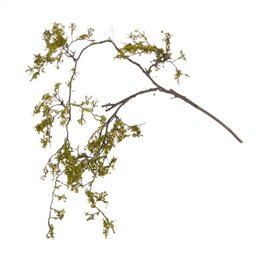 RAZ Imports Inc. 48" ICED MOSS BRANCH     F4002447