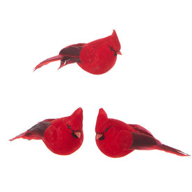 RAZ Imports Inc. 4.5" Clip-On Cardinal Ornament    4053316