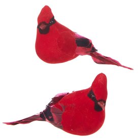 RAZ Imports Inc. 5.5" CLIP-ON CARDINAL ORNAMENT   4053321