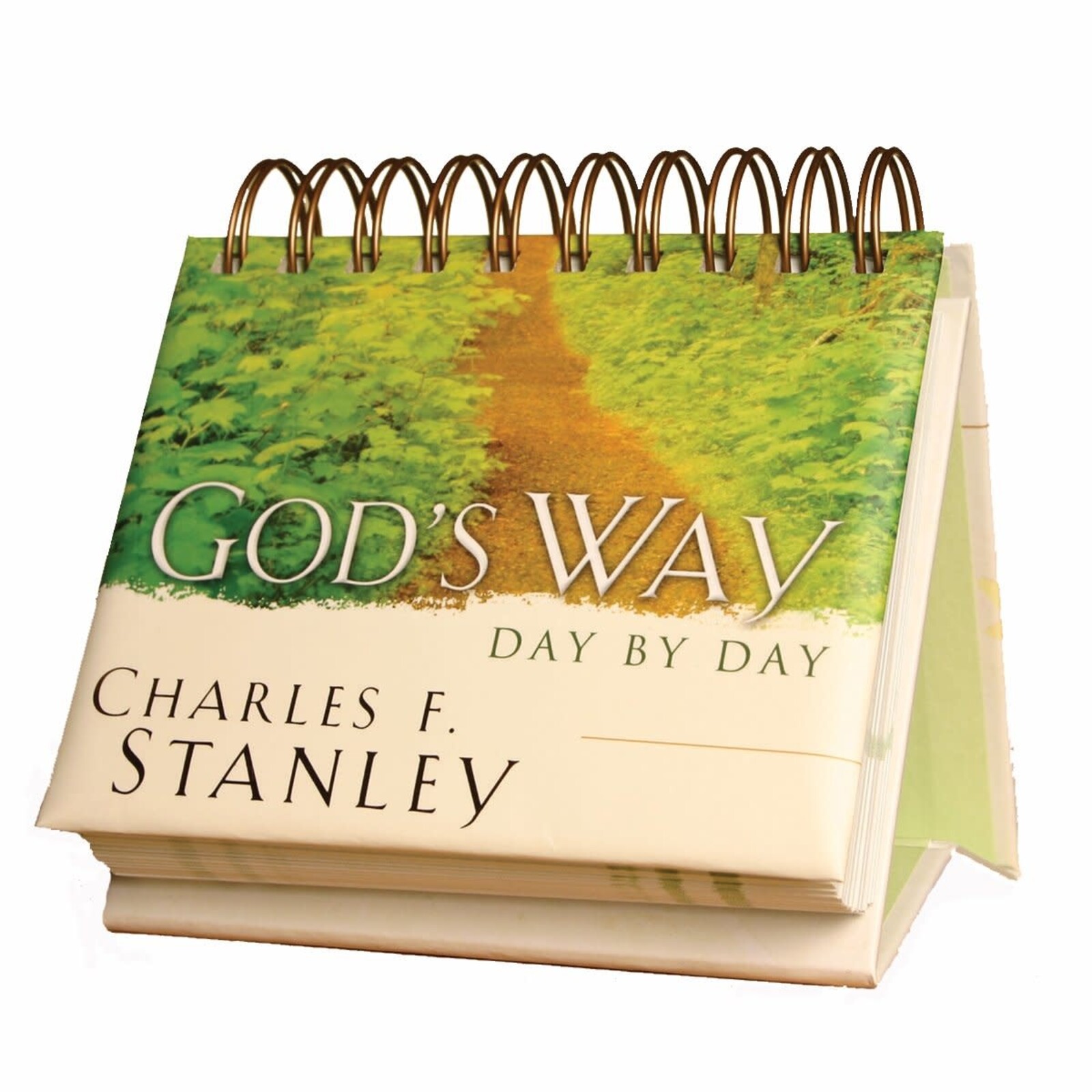 Dayspring Daybrightener-God's Way Day by Day-Charles F Stanley loading=