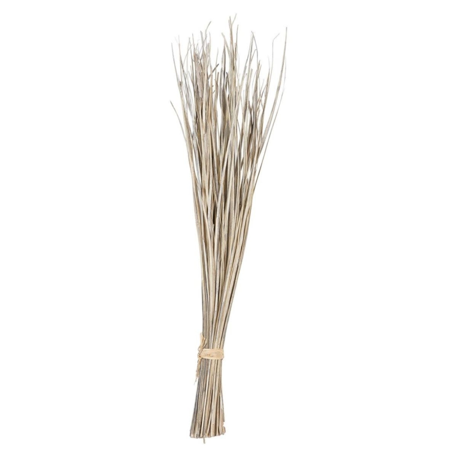 Creative Co-Op 36"H Dried Natural Date Palm Leaf Bunch    DF2241 loading=