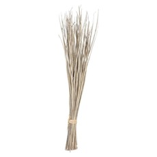 Creative Co-Op 36"H Dried Natural Date Palm Leaf Bunch    DF2241
