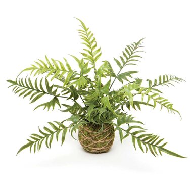 Meravic Forest Fern on Moss Ball Wrapped with Twine  E2067