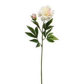 Meravic FRESH PEONY SPRAY 4.5"X28" WHITE   M9774