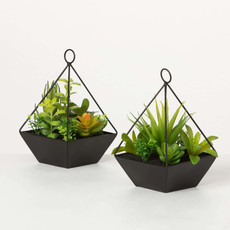 Sullivans SUCCULENTS IN PYRAMID PLANTER  02760POT