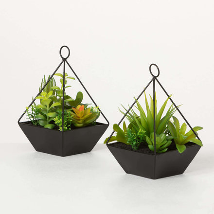 Sullivans SUCCULENTS IN PYRAMID PLANTER  02760POT
