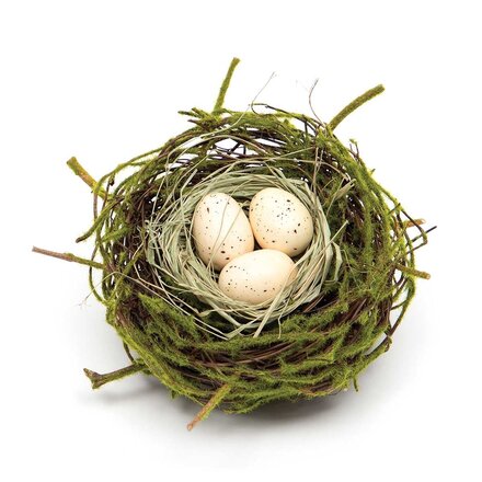 Meravic Twig Birds Nest with Natural Eggs  T5210NA