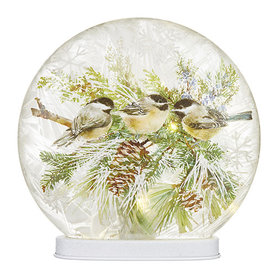 RAZ Imports Inc. 9.75" WINTER CHICKADEE LIGHTED DISC 4224536