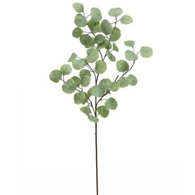 Meravic EUCALYPTUS SPRAY 12"X36.5" GREEN   M9651