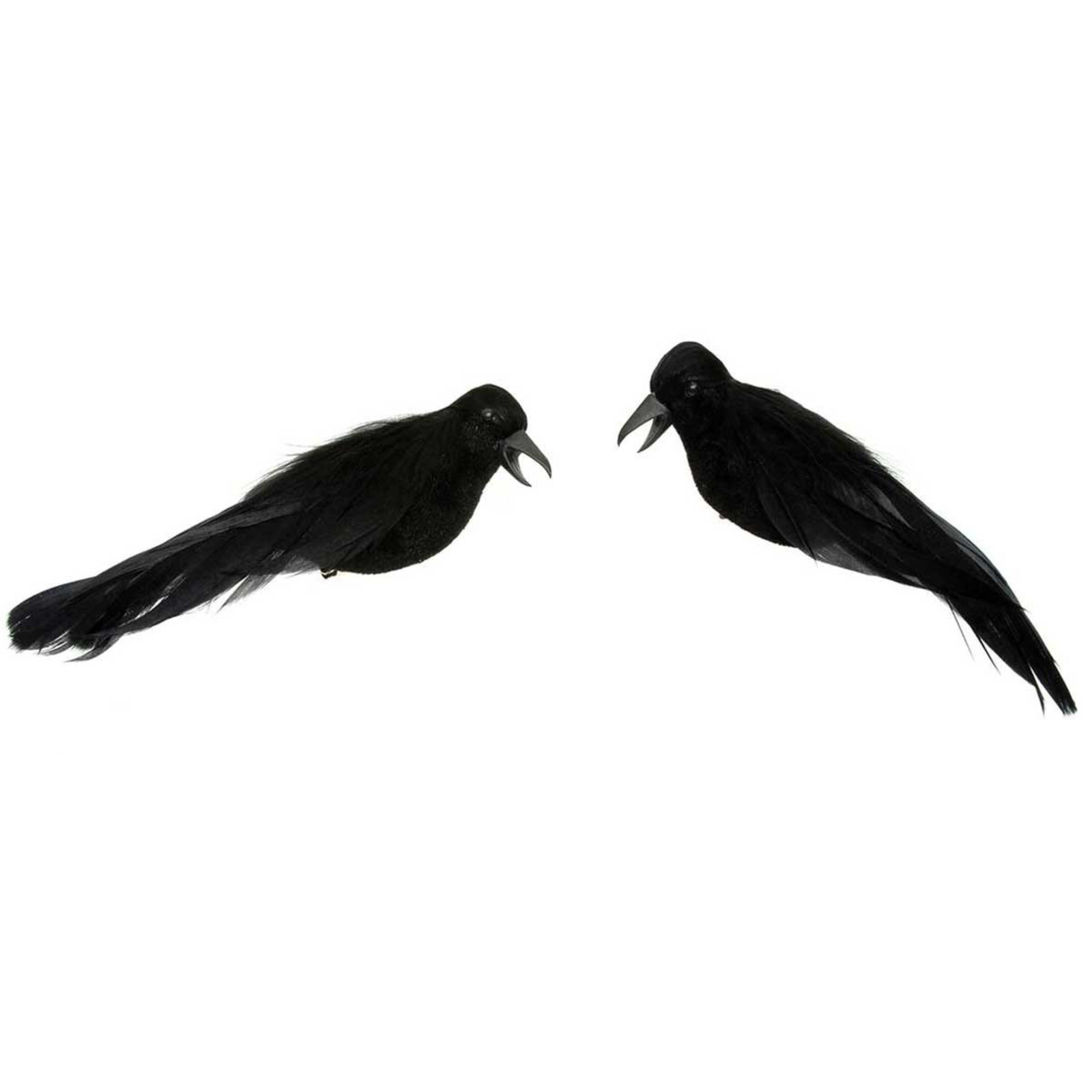 Meravic CROW VELVET BODY, FEATHERED LARGE  F2550 loading=