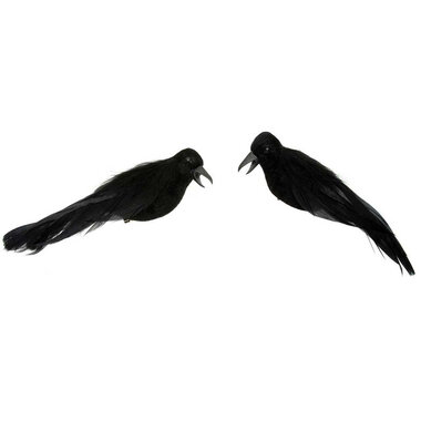 Meravic CROW VELVET BODY, FEATHERED LARGE  F2550