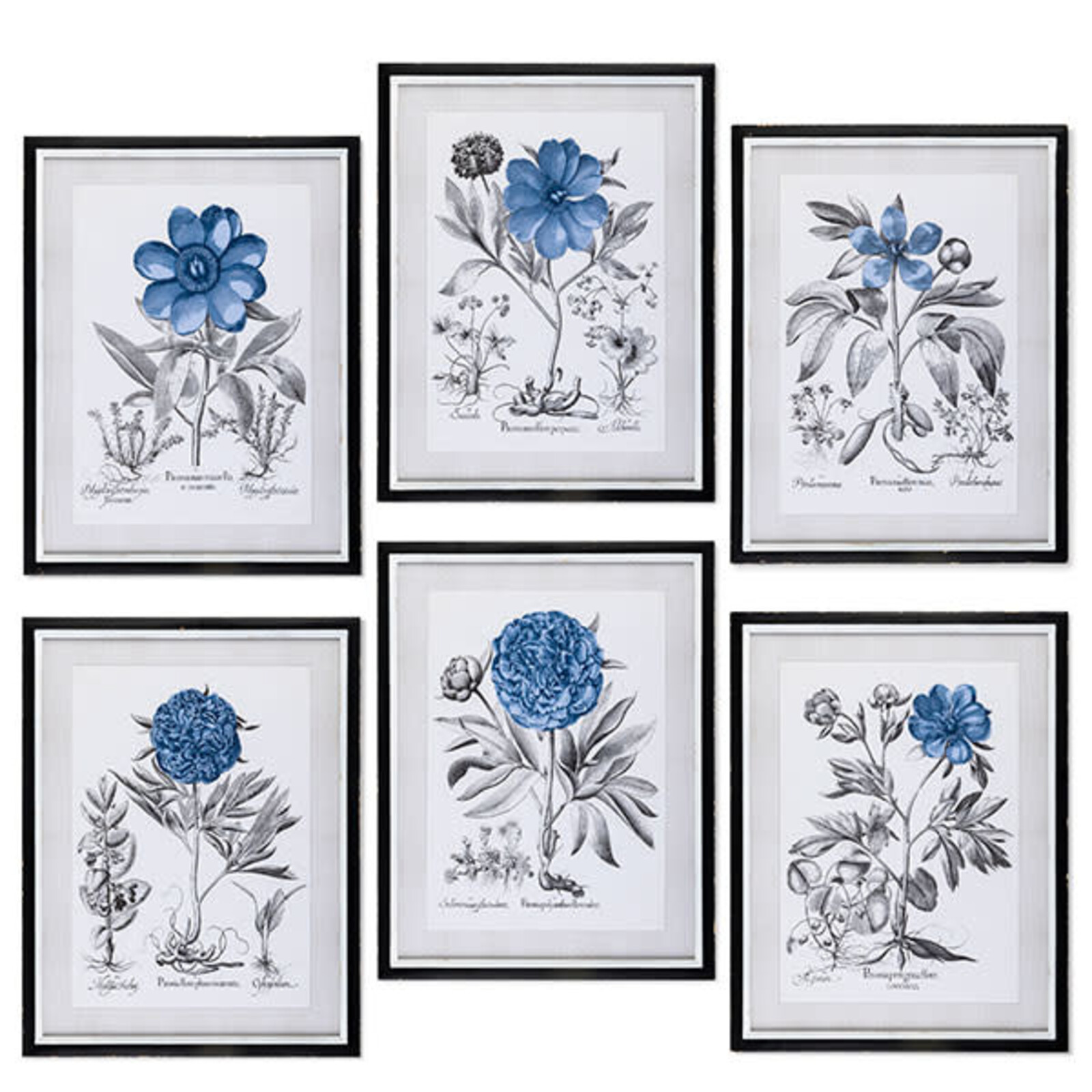 Gerson Framed Botanical Floral Print Wall Art   95735 loading=