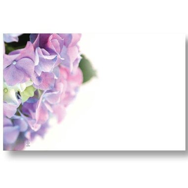 Burton + Burton ENCL CARD HYDRANGEA  03141