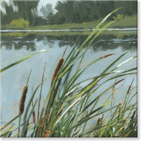 Sullivans Cattails Giclee Wall Art Multi  36x36    737-B-3636