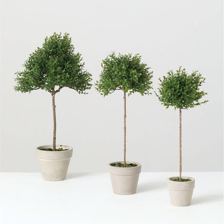 Sullivans TEA LEAF TOPIARY  LARGE 14.5"  02478POTL