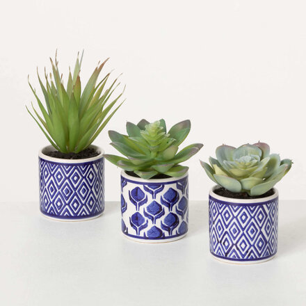 Sullivans SUCCULENT  IN PRINTED POT  02650POT