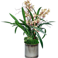 Ivy Guild LG STEEL POT WITH DOUBLE CYMBIDIUM     3716