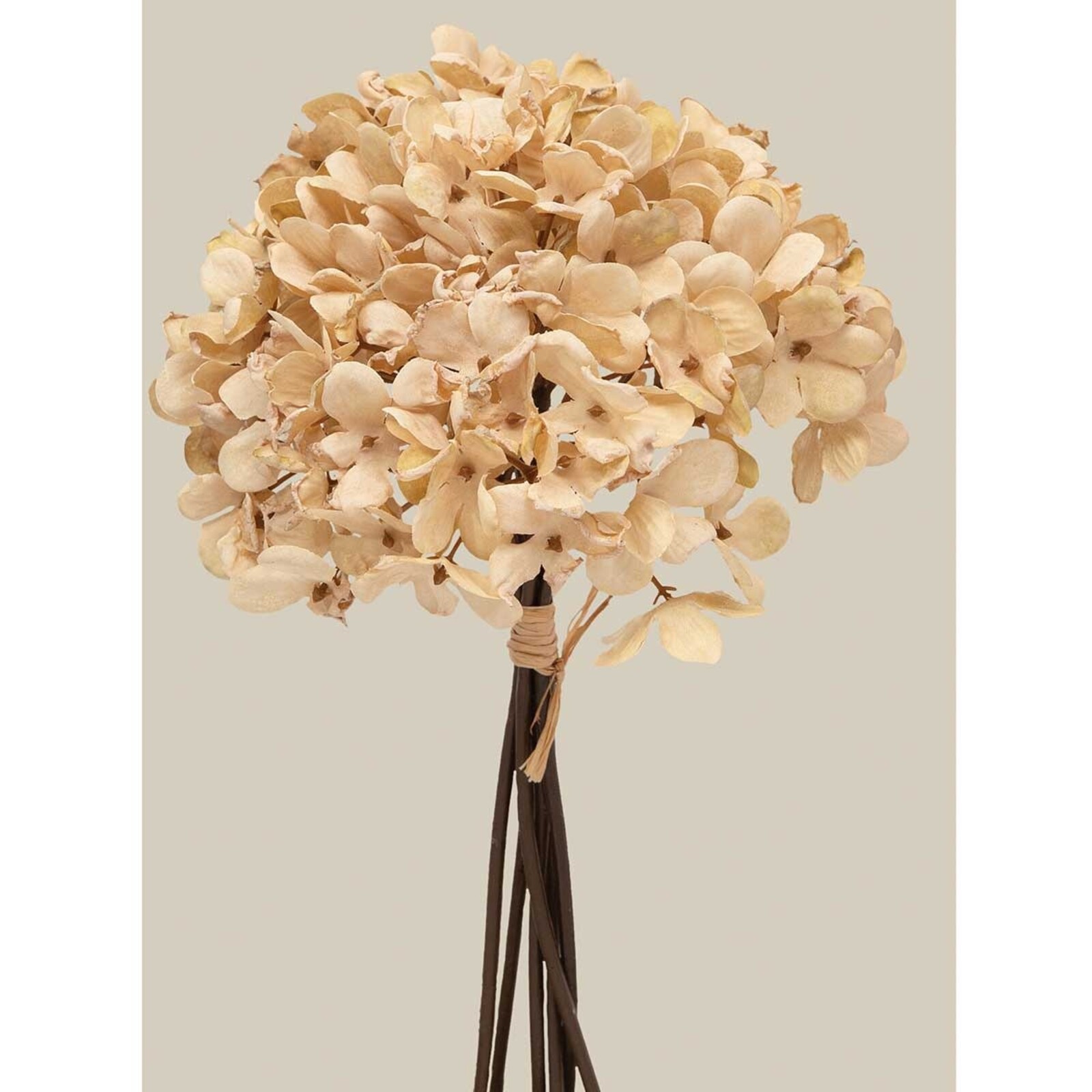 Meravic BUNDLE OF 6 HYDRANGEA BEIGE      F2423 BE loading=