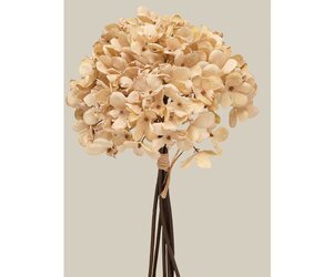meravic-bundle-of-6-hydrangea-