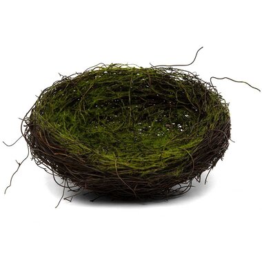 Meravic MOSSY TWIG NEST LARGE 10"X3.5"      T5247