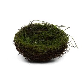 Meravic MOSSY TWIG NEST MEDIUM 6"X2.5"     T5248