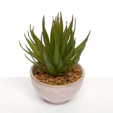 Meravic SANSEVIERIA IN POT   M1621