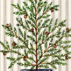 Boston International Cocktail-Balsam Winter  C000153